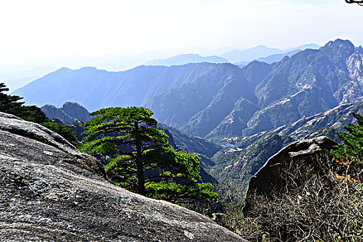 黄山