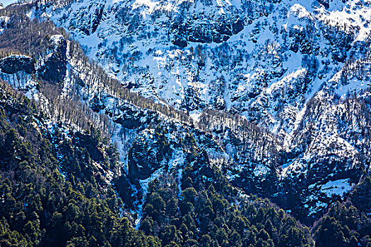 特写,山,波多黎各,纳韦尔瓦皮,国家公园,阿根廷