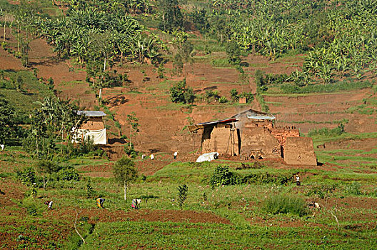 砖,工厂,靠近,城镇,卢旺达,非洲