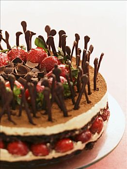 提拉米苏蛋糕,蛋糕,草莓