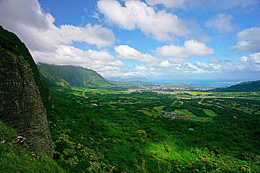 俯拍,树,风景,纳帕利海岸,考艾岛,夏威夷,美国