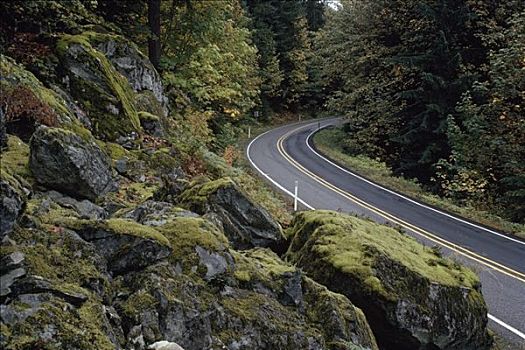 公路,通过,山,北方,喀斯喀特山脉,华盛顿,美国