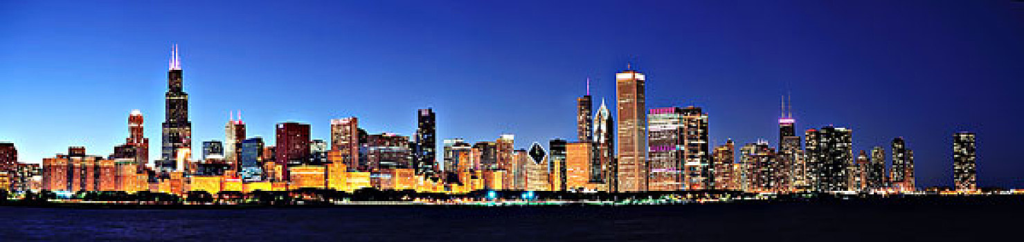 芝加哥,夜晚,全景