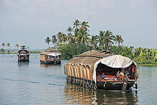 船屋,死水,运河,湖,喀拉拉,印度,亚洲