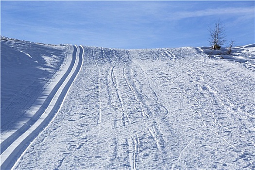 越野滑雪,小路