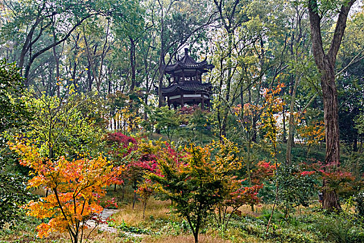 南京中山植物园景观