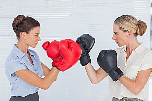 职业女性,拳击手套,争斗,智慧,办公室