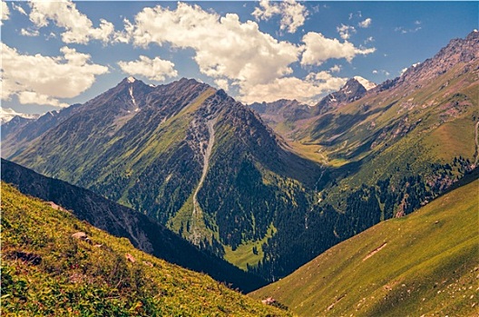绿色,峡谷,吉尔吉斯斯坦