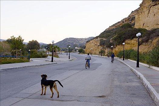 狗,孩子,空,街道,旅游地点,冬天,南海岸,克里特岛,希腊,欧洲