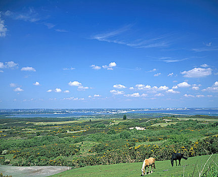 英格兰,远眺,岛,珀贝克,港口