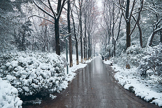 湖南省开福区烈士公园冬季雪景