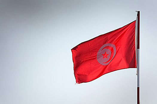 突尼斯,旗帜
