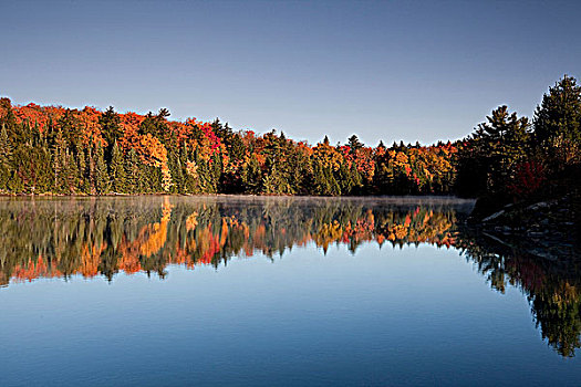 秋色,烟,溪流,阿尔冈金省立公园,安大略省,加拿大