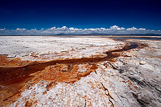 硫磺,春天,盐湖,乌尤尼,玻利维亚,南美