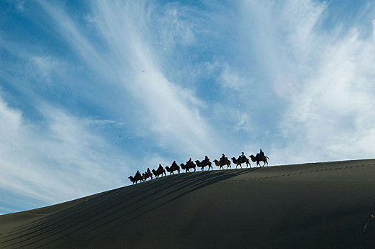 沙漠,行进,驼队