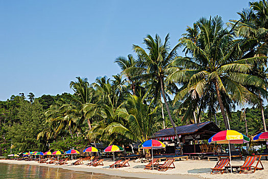 泰国,省,锦鲤,海滩