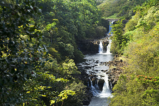 夏威夷,夏威夷大岛,哈玛库亚海岸,瀑布,河流,围绕,茂密,绿色植物
