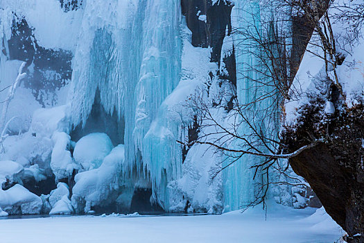 雪景