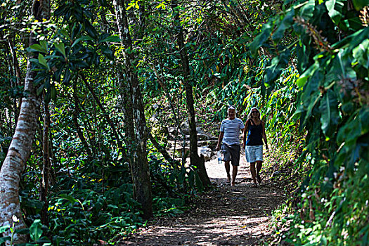 情侣,漫步,热带森林,小路,留尼汪岛