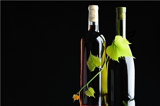 两个,瓶子,葡萄酒,葡萄藤,黑色背景,背景