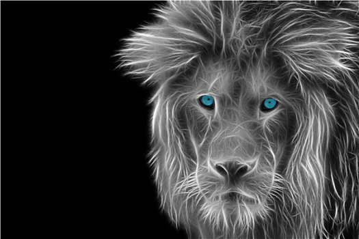 灰色,头像,狮子