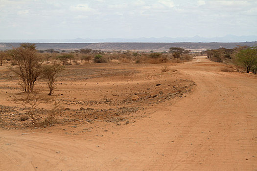 公路,北方,肯尼亚