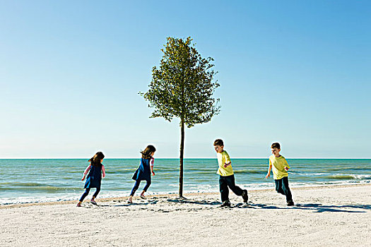 孩子,玩,追逐,树,海滩