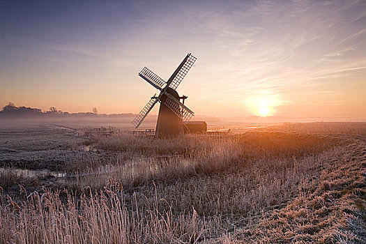 英格兰,冬天,早晨,风车