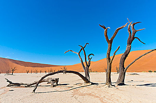 死亡谷,纳米比诺克陆夫国家公园,纳米布沙漠,索苏维来地区,区域,纳米比亚,非洲