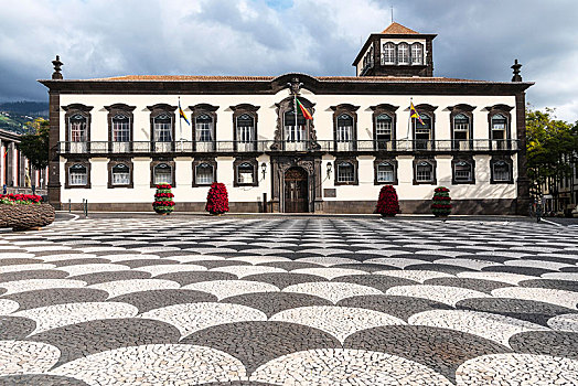 市政厅,广场,丰沙尔,马德拉岛,岛屿,葡萄牙,欧洲