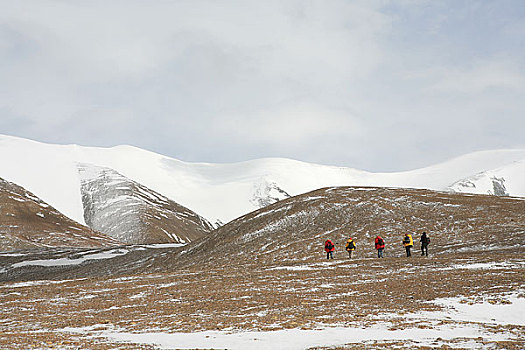 青海,可可西里,库塞湖边的雪山,冰川