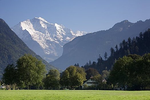 少女峰,因特拉肯,伯恩高地,瑞士