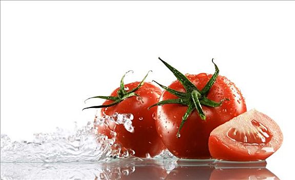 西红柿,围绕,水