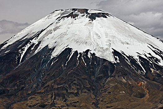 积雪,顶峰,火山,边界,区域,智利,玻利维亚,南美