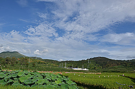 田园风光