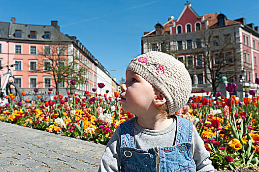 幼儿,女孩,戴着,毛织品,帽,头像,彩色,花坛,背影,慕尼黑,巴伐利亚,德国,欧洲