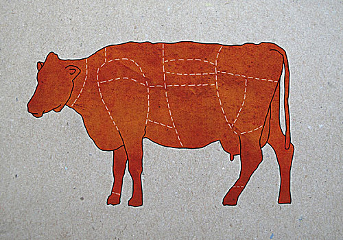 图表,母牛