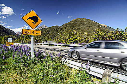 银,汽车,驾驶,过去,警告,标识,公路,搬运工,坎特伯雷,南岛,新西兰,大洋洲