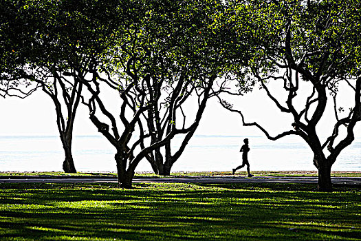 男人,慢跑,公园,海洋