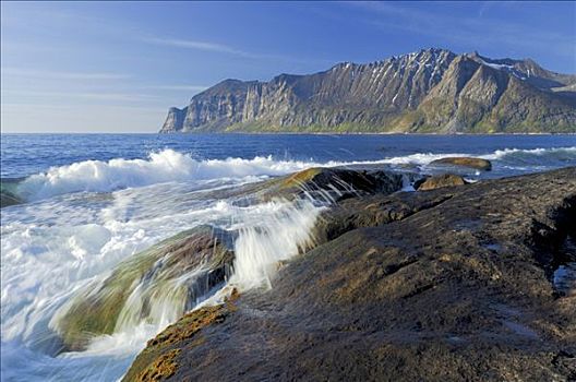 岩石,海岸线,罗弗敦群岛,挪威,斯堪的纳维亚,欧洲