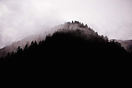 雾,风景,自然