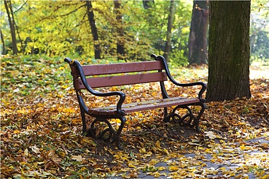 木制长椅,秋天风景