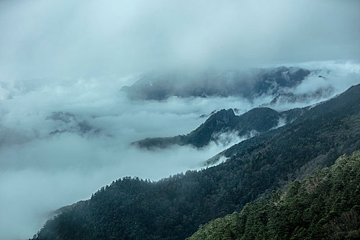 神农架,神农顶,风景,景点,旅游,高山,瀑布,河流,神秘,树木,植被,石头,鄂西,云海,峡谷,壮观