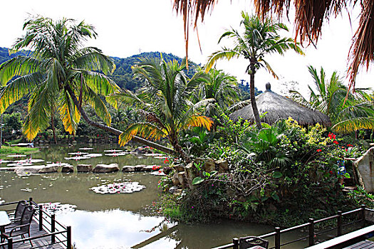 三亚呀诺达雨林文化旅游区