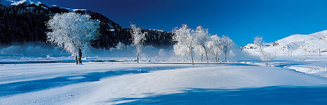 冬天,风景,林业,农场,山