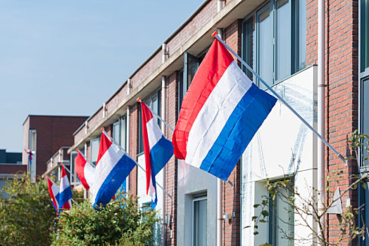 荷兰,旗帜,街道