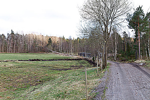 田园,风景,挪威