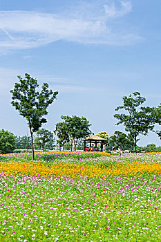 南京中医药大学