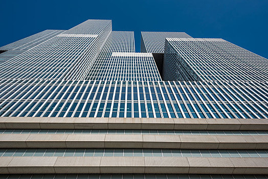 荷兰鹿特丹的高楼大厦
