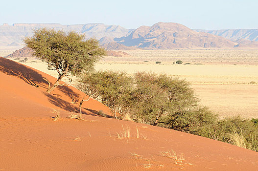 风景,沙丘,山,纳米比亚,非洲